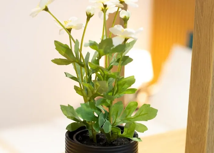 Fullview Deluxe, Free Underground Parking * Timişoara